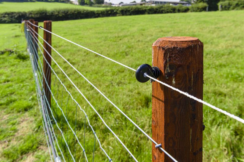 Wire Fence Replacement